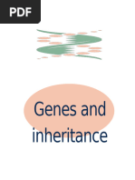 Genes, Chromosomes, and Inheritance Explained | PDF | Chromosome | Sex