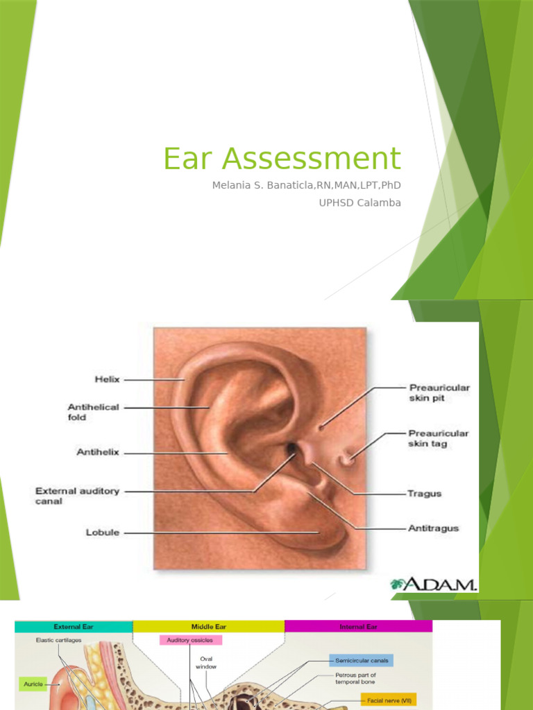Ear Assessment | PDF | Ear | Hearing Loss
