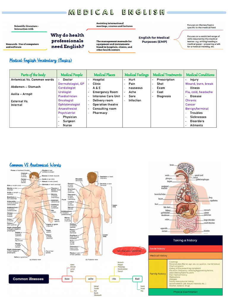 Medical English (A.E) | PDF