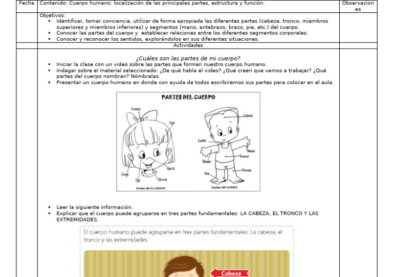 Actividades sobre el Cuerpo Humano | PDF
