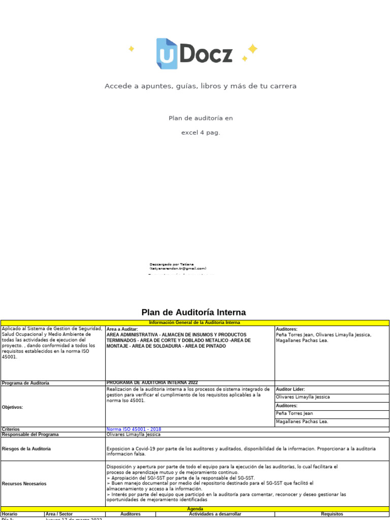 Plan de Auditoría Interna ISO 45001 | PDF | Auditoría | Business