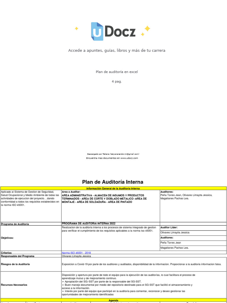 Plan de Auditoría Interna ISO 45001 | PDF | Auditoría | Business