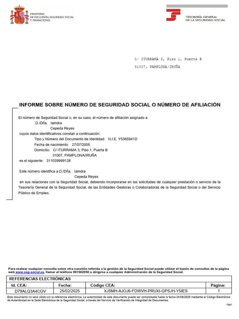 informe-de-n-mero-de-seguridad-social-pdf