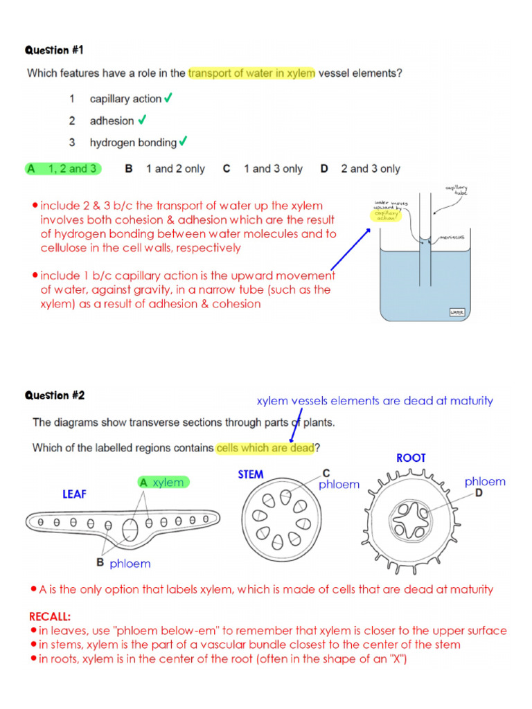 KEY+-+Ch+7+MC | PDF