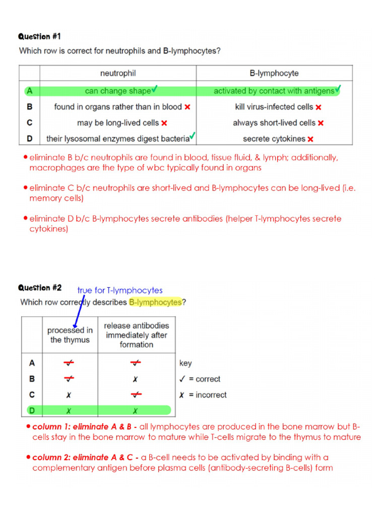 KEY - CH 11 MC | PDF
