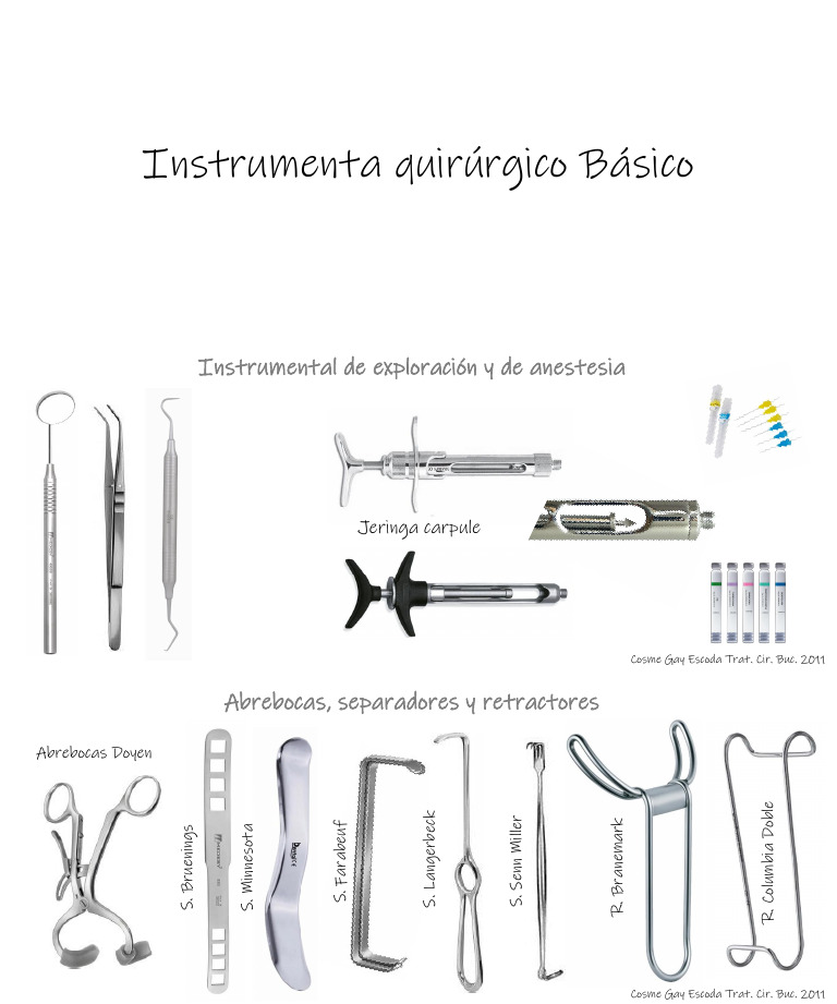 Instrumental Quirúrgico Bucal Básico | PDF
