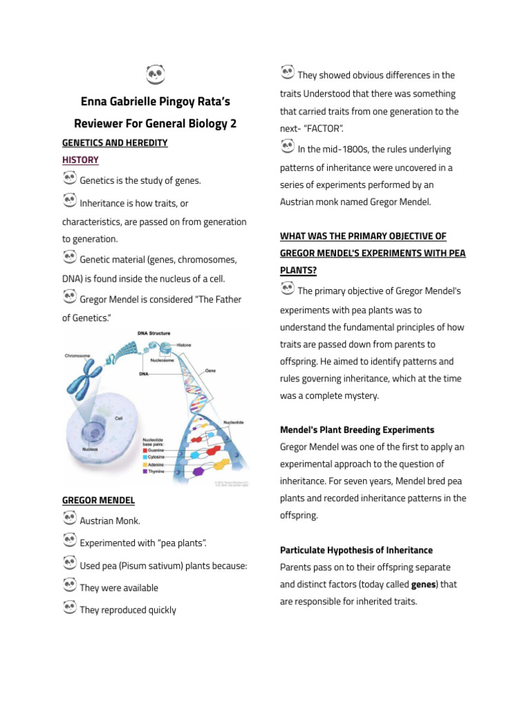Genetics and Mendel's Principles Explained | PDF | Dominance (Genetics ...
