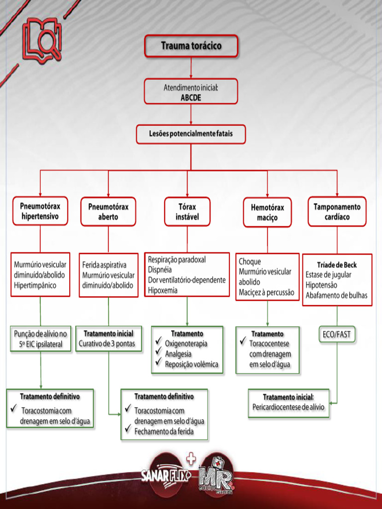 Trauma Tor cico 3 PDF