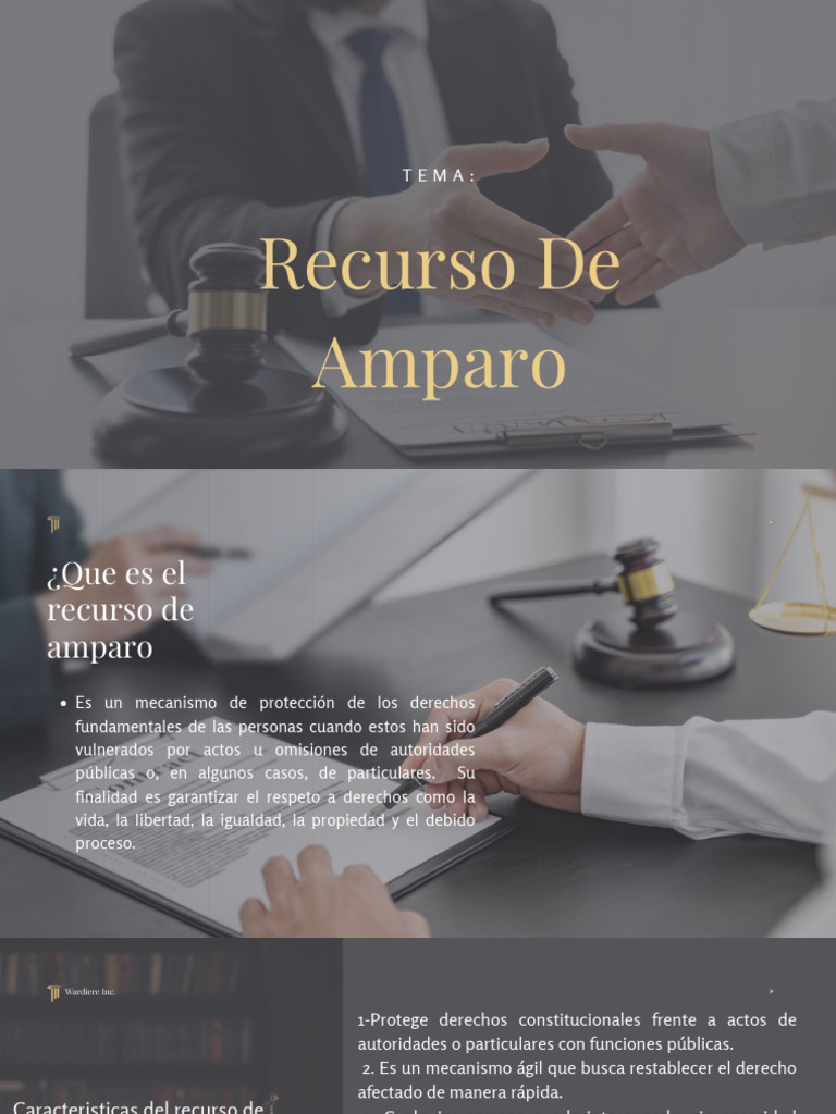 Recurso de Amparo en Honduras: Guía Completa | PDF | Justicia | Crimen ...