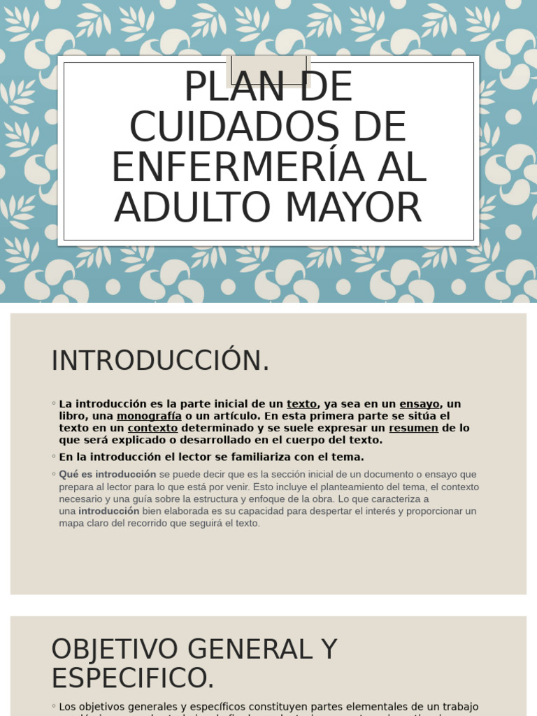Plan de Cuidados para Adultos Mayores | PDF