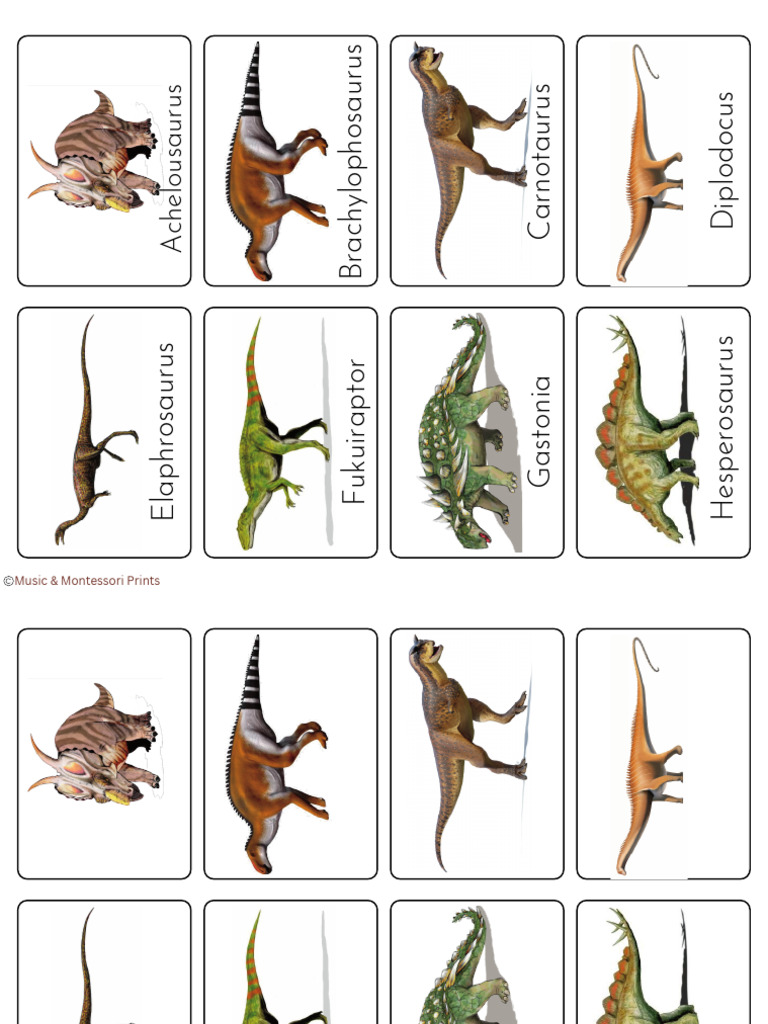Overview of Notable Dinosaurs | PDF | Dinosaurs | Dinosauromorphs