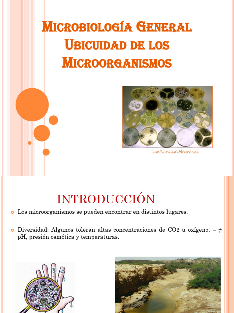 Ubicuidad de Microorganismos en Ambientes | PDF | Biología