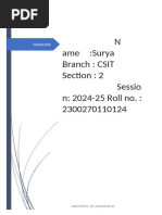 PDF Document