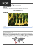 Usos y características del Chamico | PDF