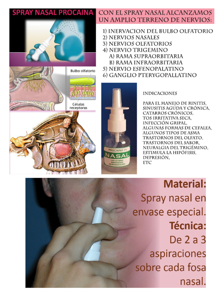 Kit Procaina | PDF