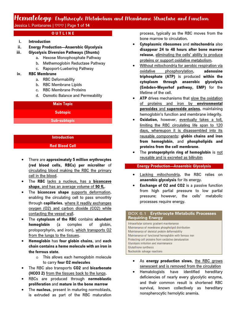 Erythrocyte Metabolism and Membrane Function | PDF | Red Blood Cell ...