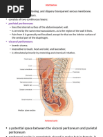 Anatomy of the Peritoneum Explained | PDF | Peritoneum | Anatomy