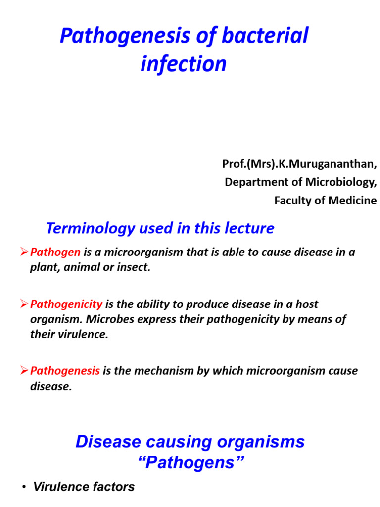 Bacterial Infection Pathogenesis Explained | PDF | Biofilm | Infection