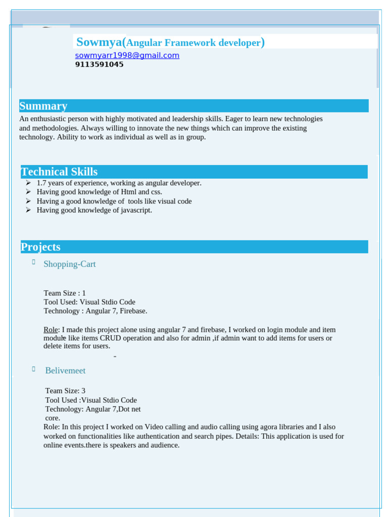 Angular Developer with Project Experience | PDF