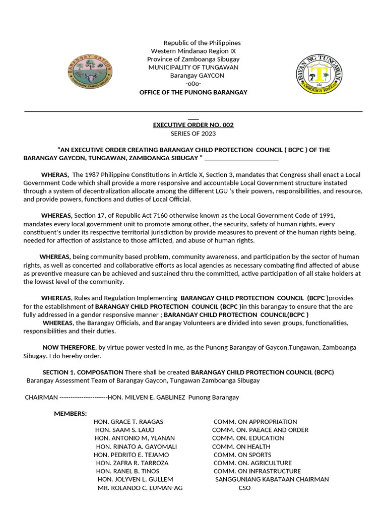 Barangay Child Protection Council Order | PDF | Government | Justice