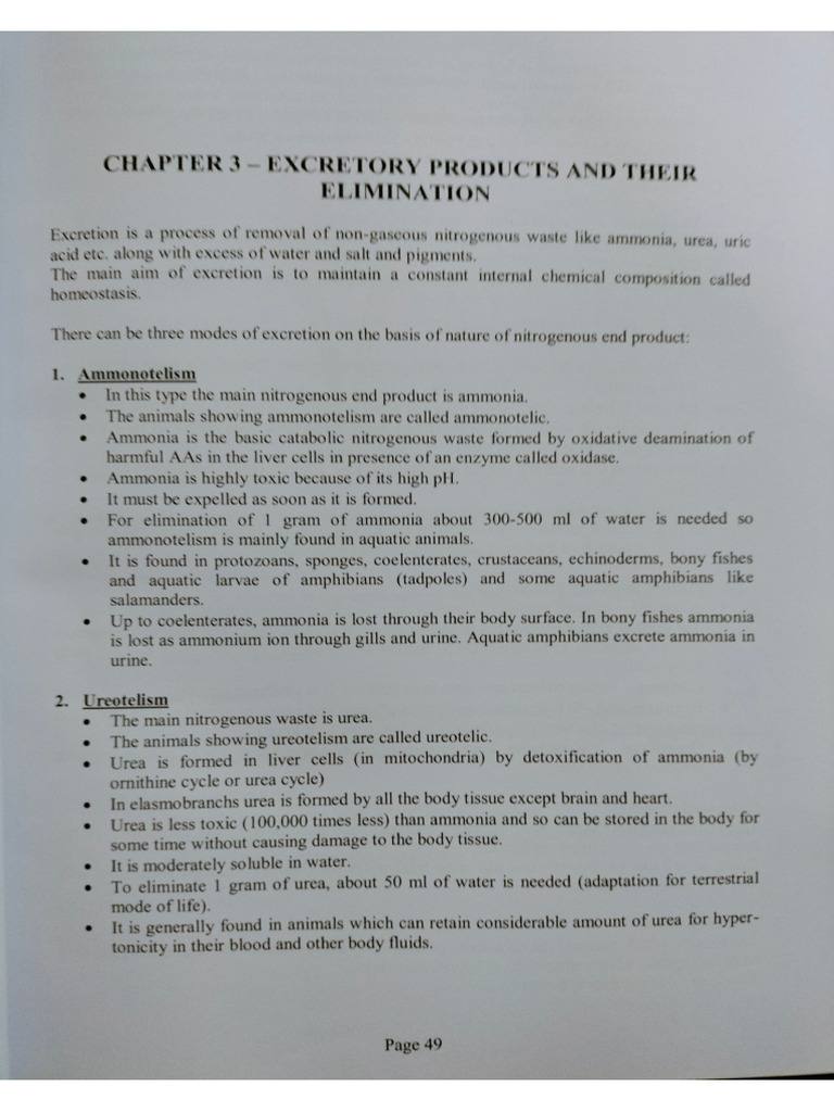 Excretion | PDF