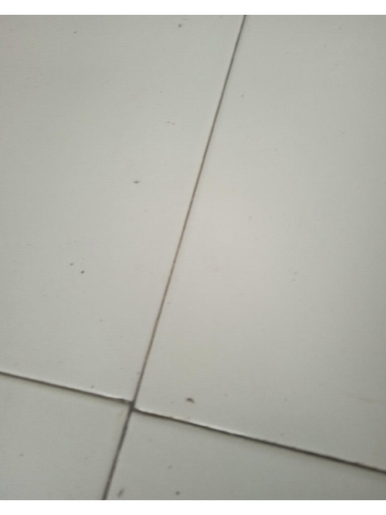 Pdf Scanner 260225 2 46 59 Pdf