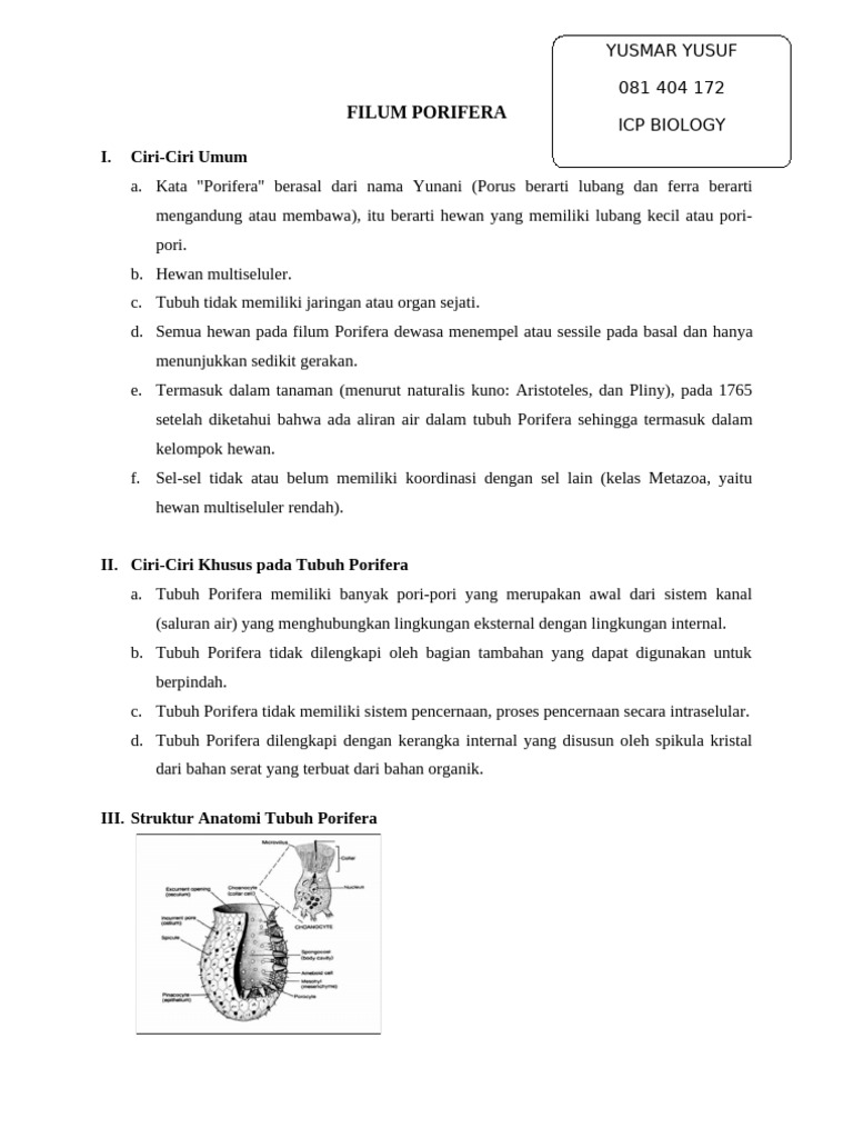 Filum Porifera | PDF
