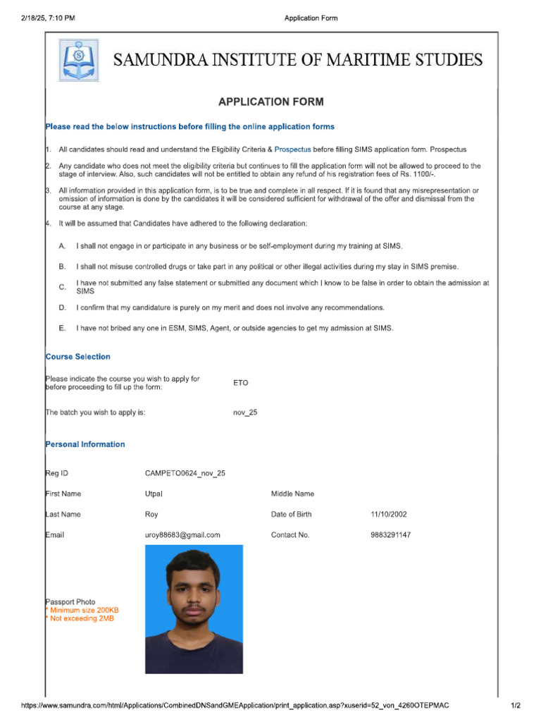 Sims | PDF