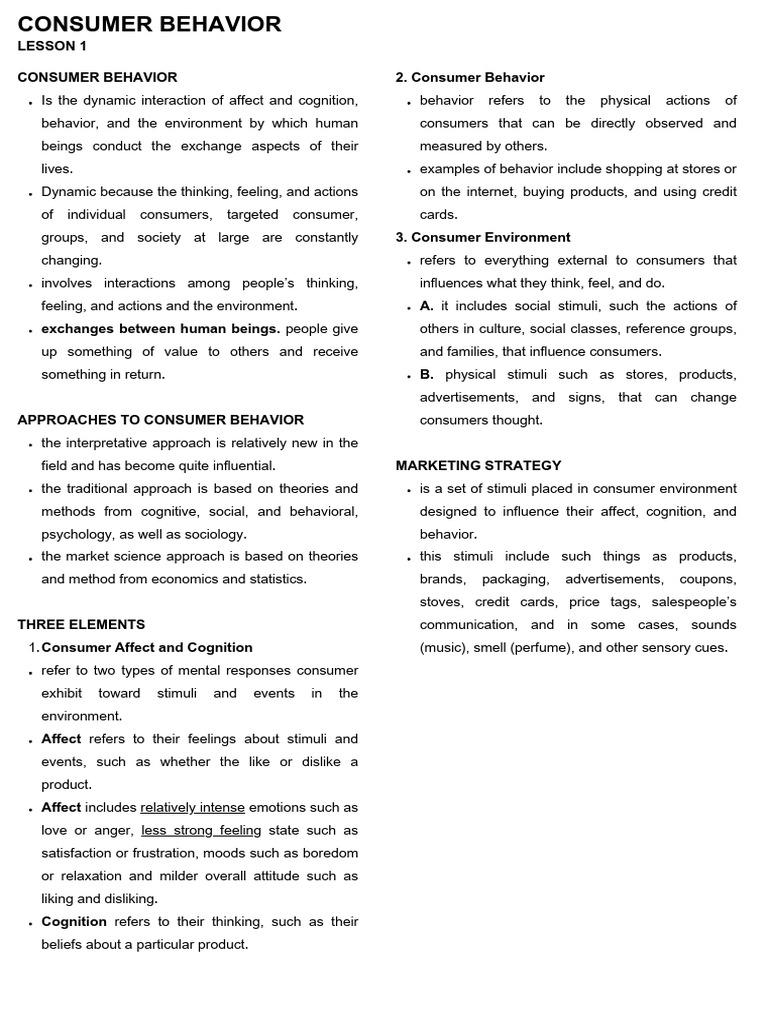 Understanding Consumer Behavior Dynamics | PDF | Affect (Psychology ...