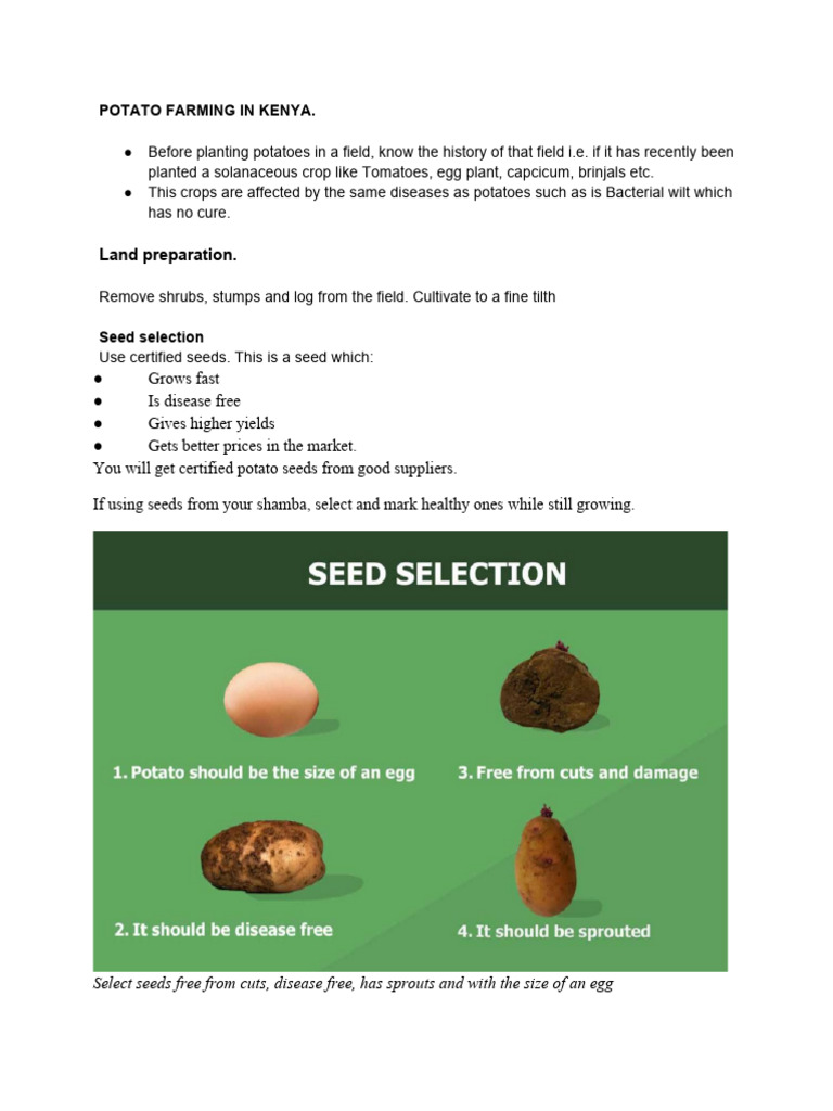 Potato Farming Practices in Kenya | PDF | Potato | Pest (Organism)