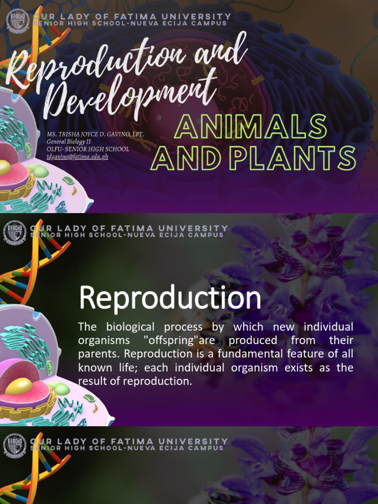 Plant and Animal Reproduction Overview | PDF | Reproduction | Sexual ...