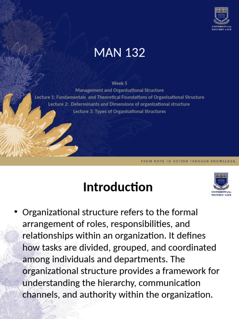 Understanding Organizational Structure Basics | PDF | Organizational ...