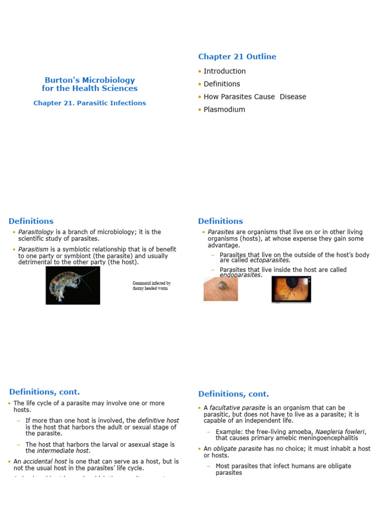 Microbiology and Parasitology | PDF | Plasmodium Falciparum | Malaria
