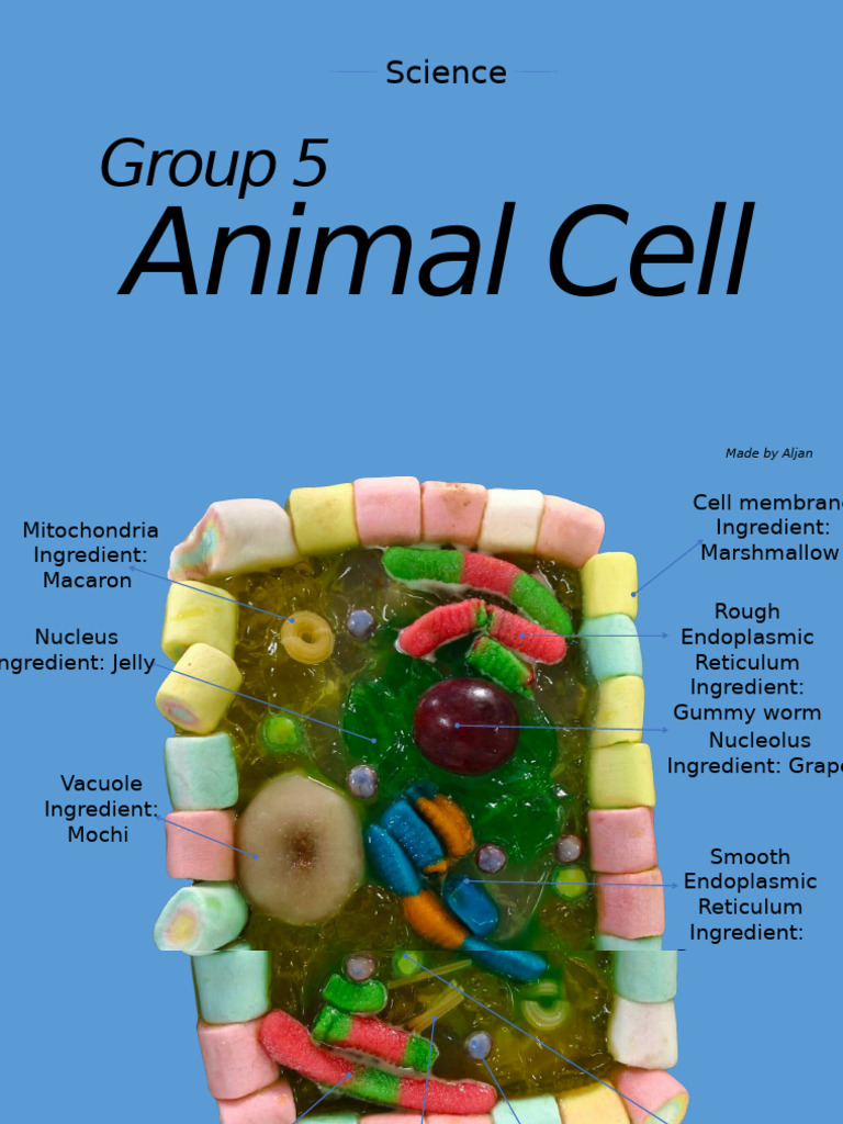 Group 5 | PDF