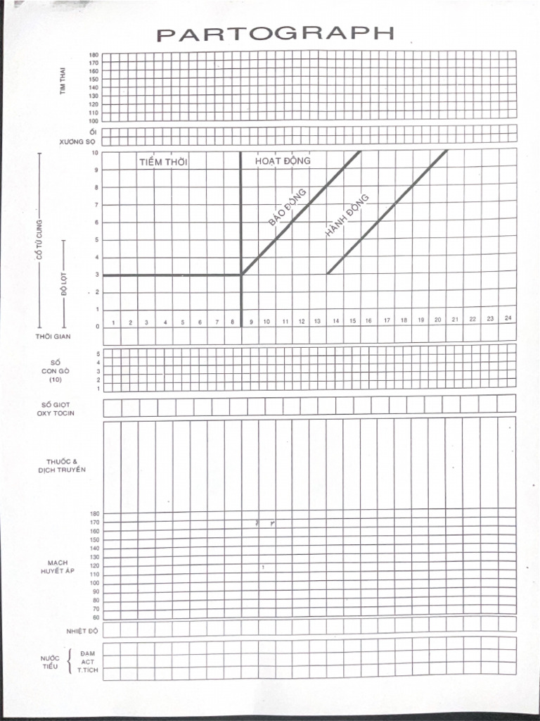 Partograph | PDF