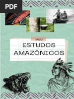 Plano de Ensino: Estudos Amazônicos 6º Ano | PDF