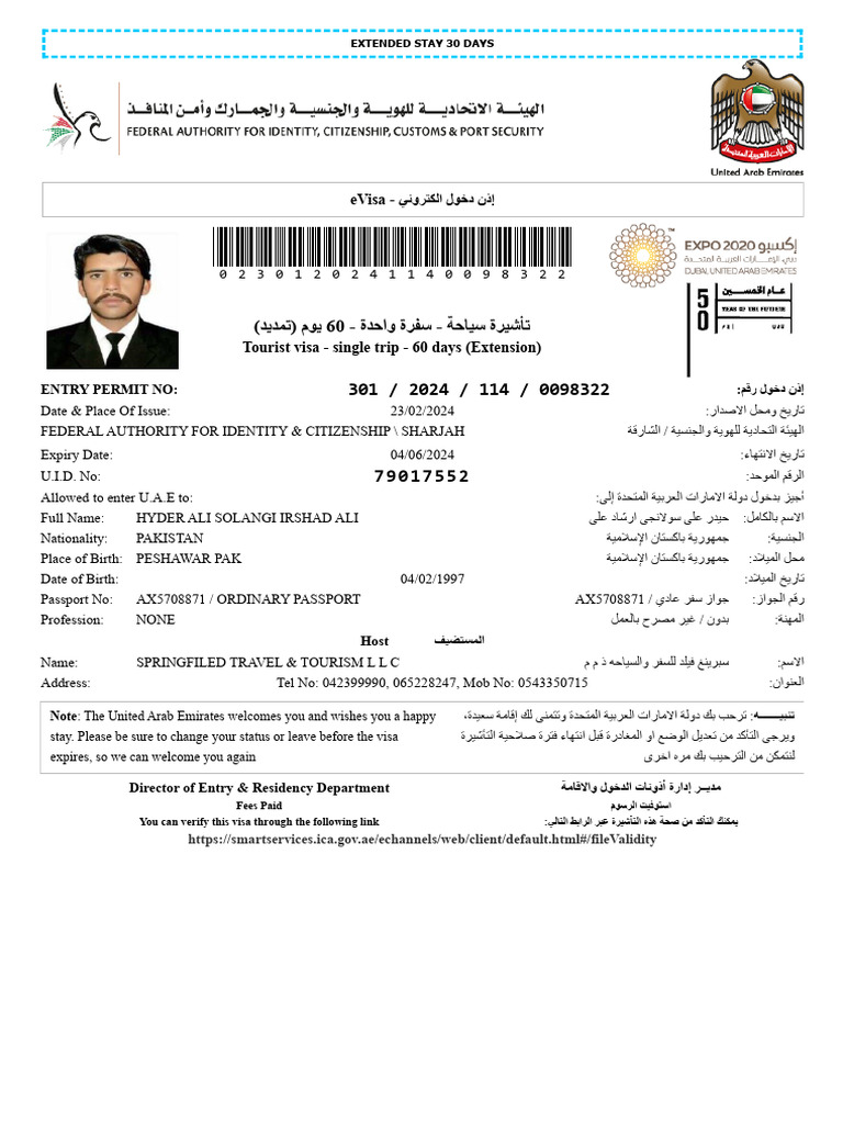 E Visa | PDF