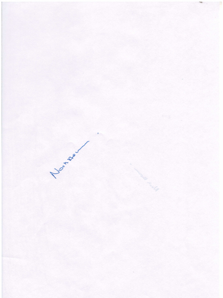 Noah Sign | PDF