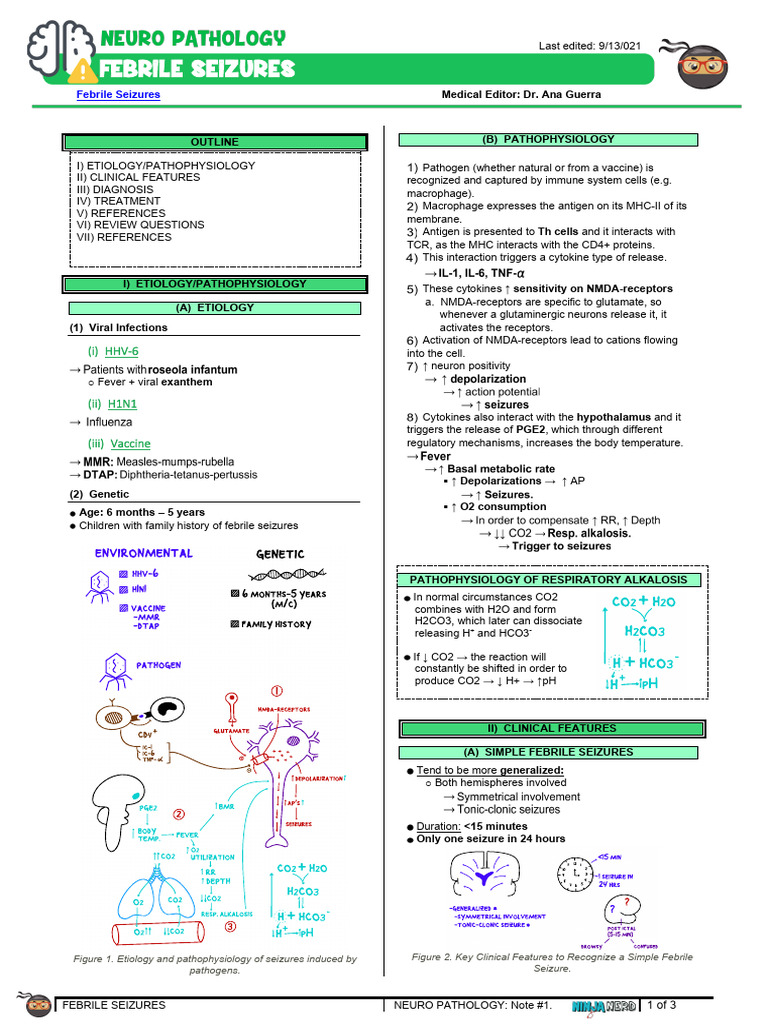 Pathophysiology of Febrile Seizures | PDF | Fever | Medical Specialties