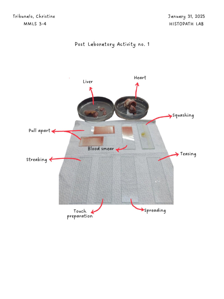Histopath Lab Techniques Overview | PDF