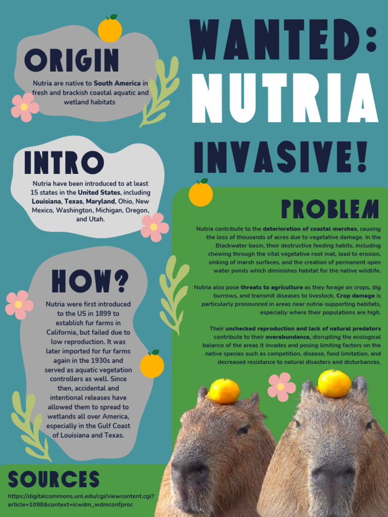 Nutria Inforgraphic | PDF | Physical Geography | Biogeography