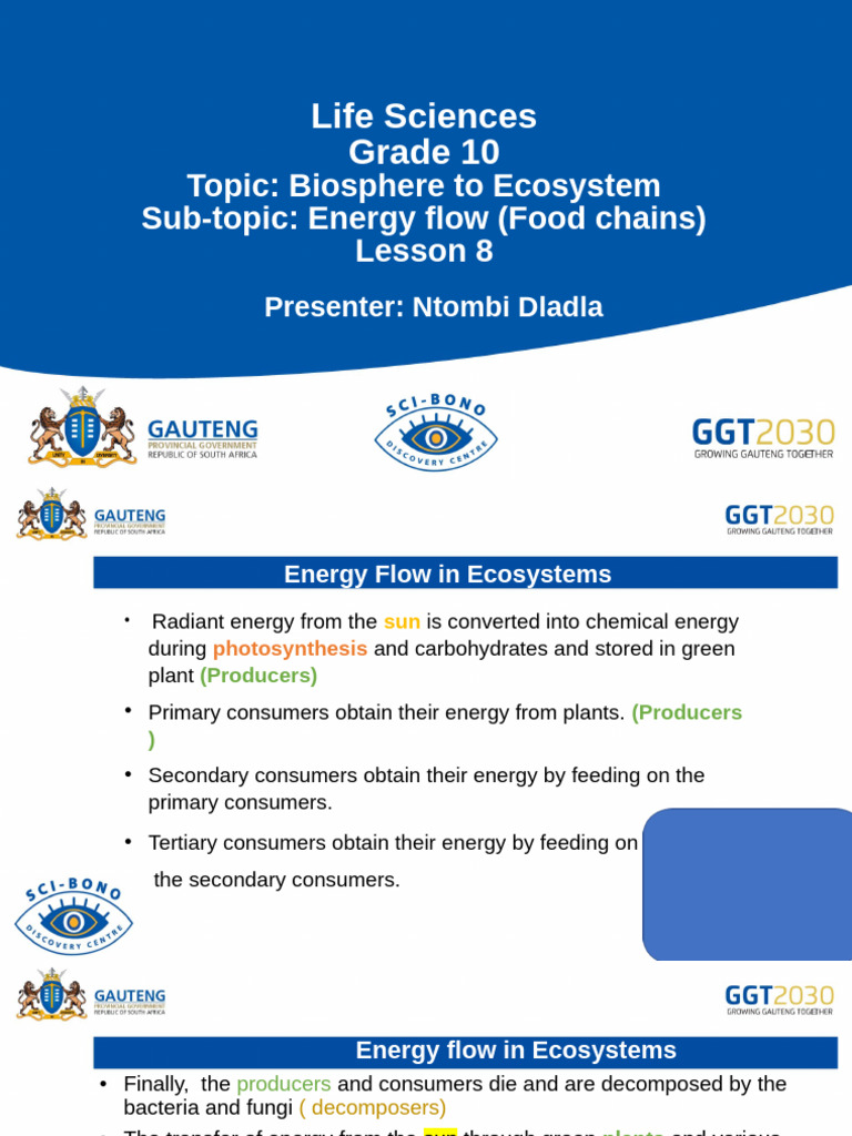 Life Sciences Gr.10 Lesson 8 Energy Flow (Food Chains) | PDF | Food Web ...