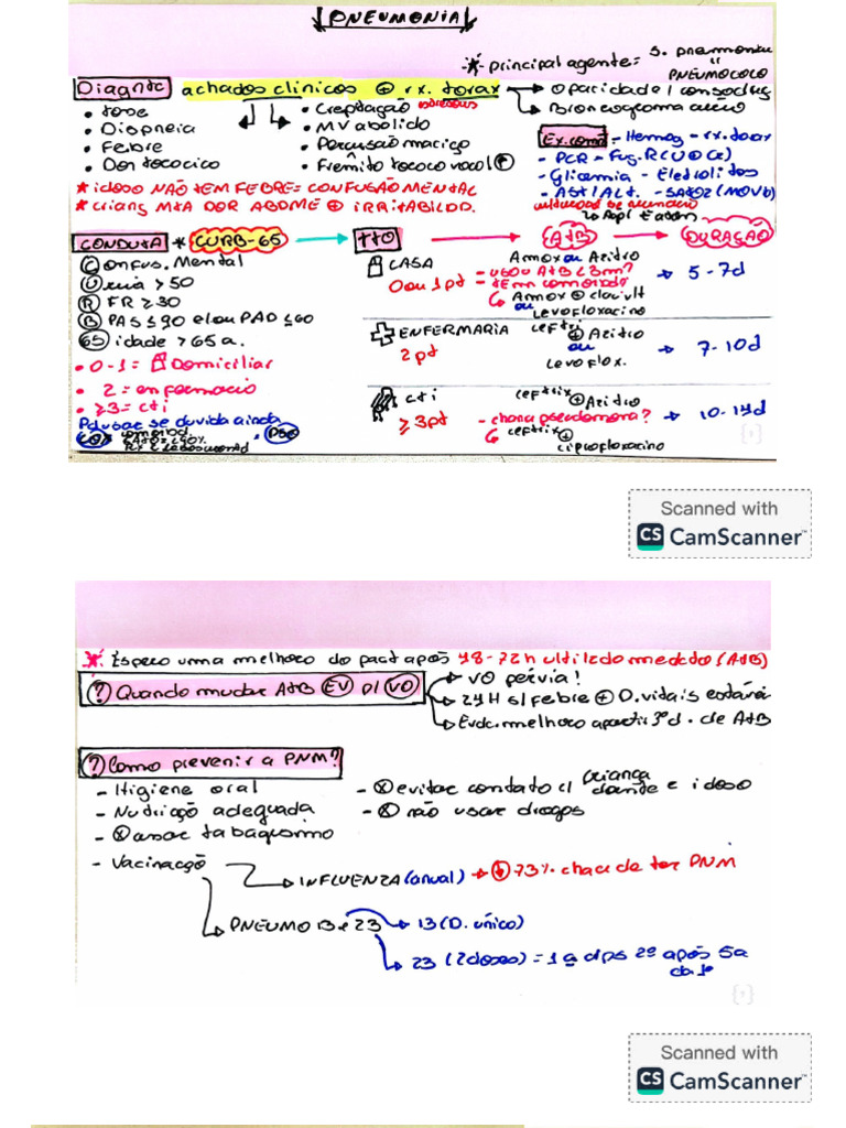 PNM | PDF