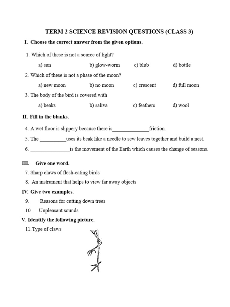 Class 3 Term 2 Science Revision Questions | PDF