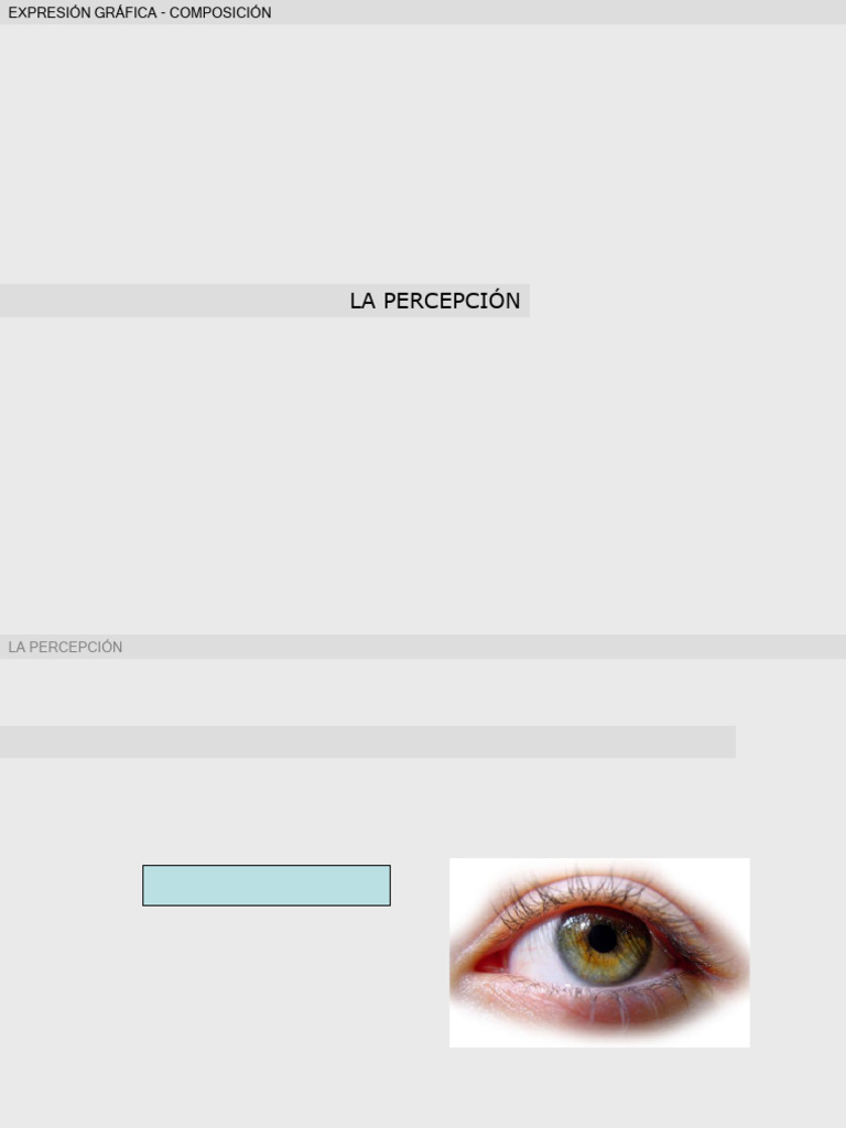Tema 1. - La Percepción | PDF | Percepción visual | Ligero