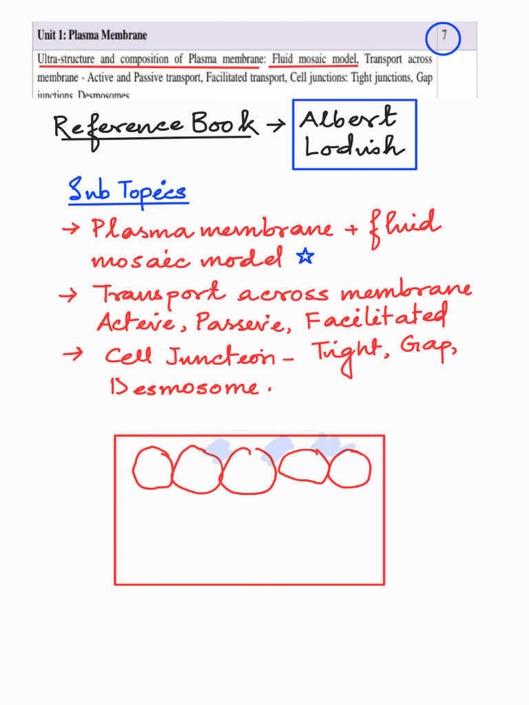 Plasma Membrane - 221210 - 235740 | PDF