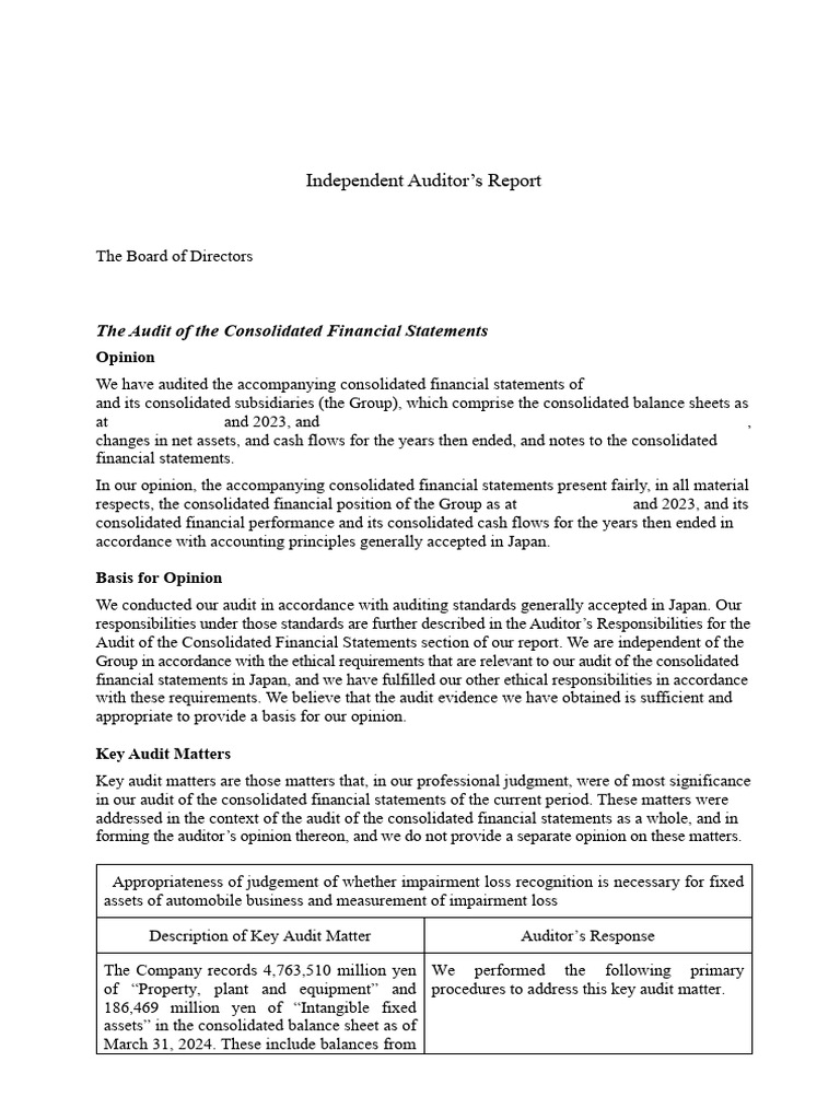 FY23 Financial Report | PDF | Audit | Going Concern