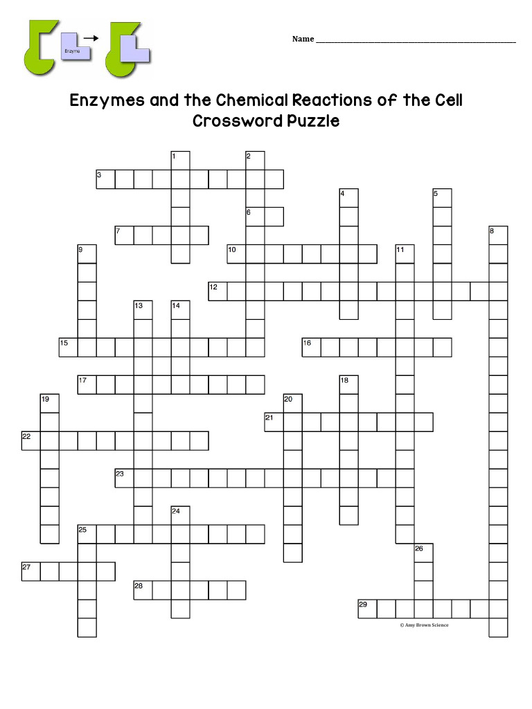 Student Enzyme Crossword PDF