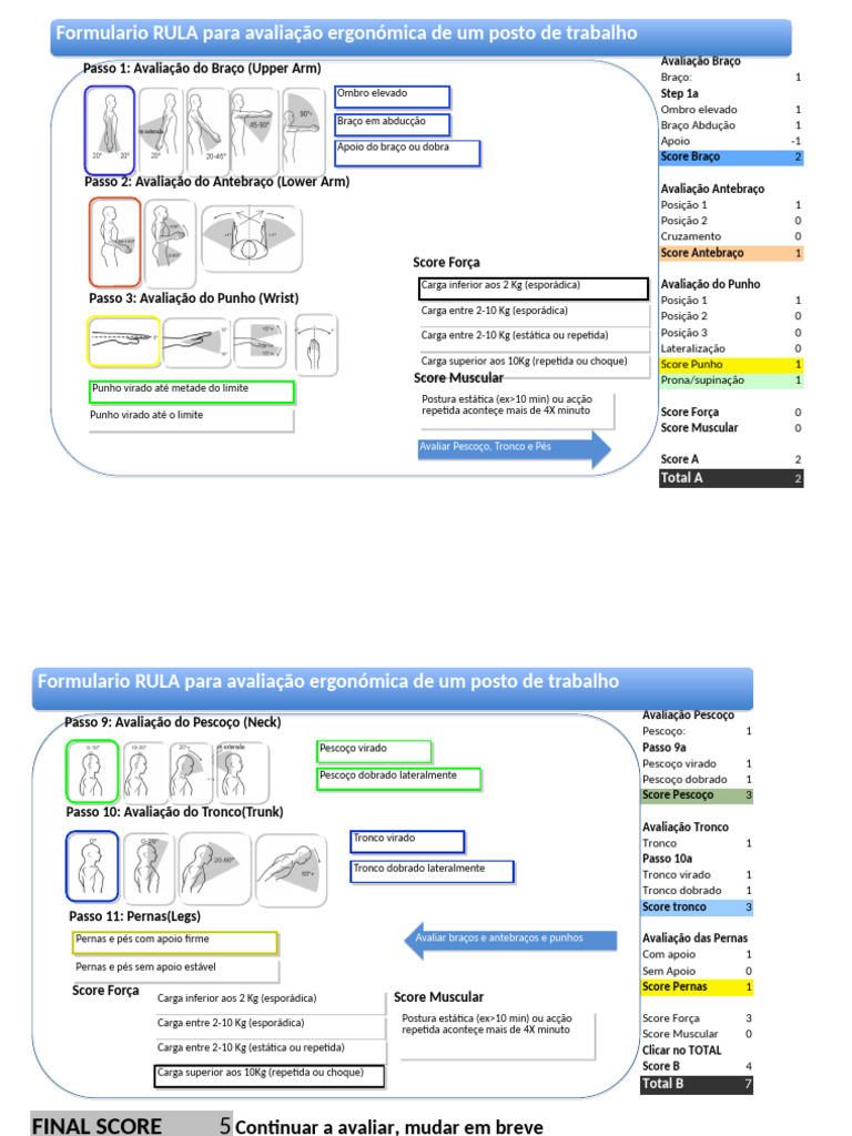 Ergonomia Rula | PDF | Sistema Locomotor | Membros (anatomia)