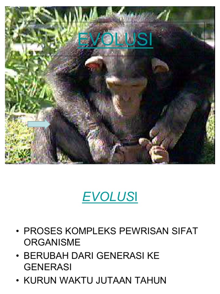 Evolusi1